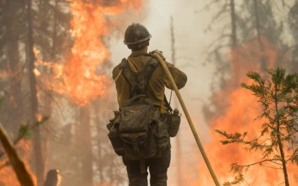 firefighter spraying water on wildfire