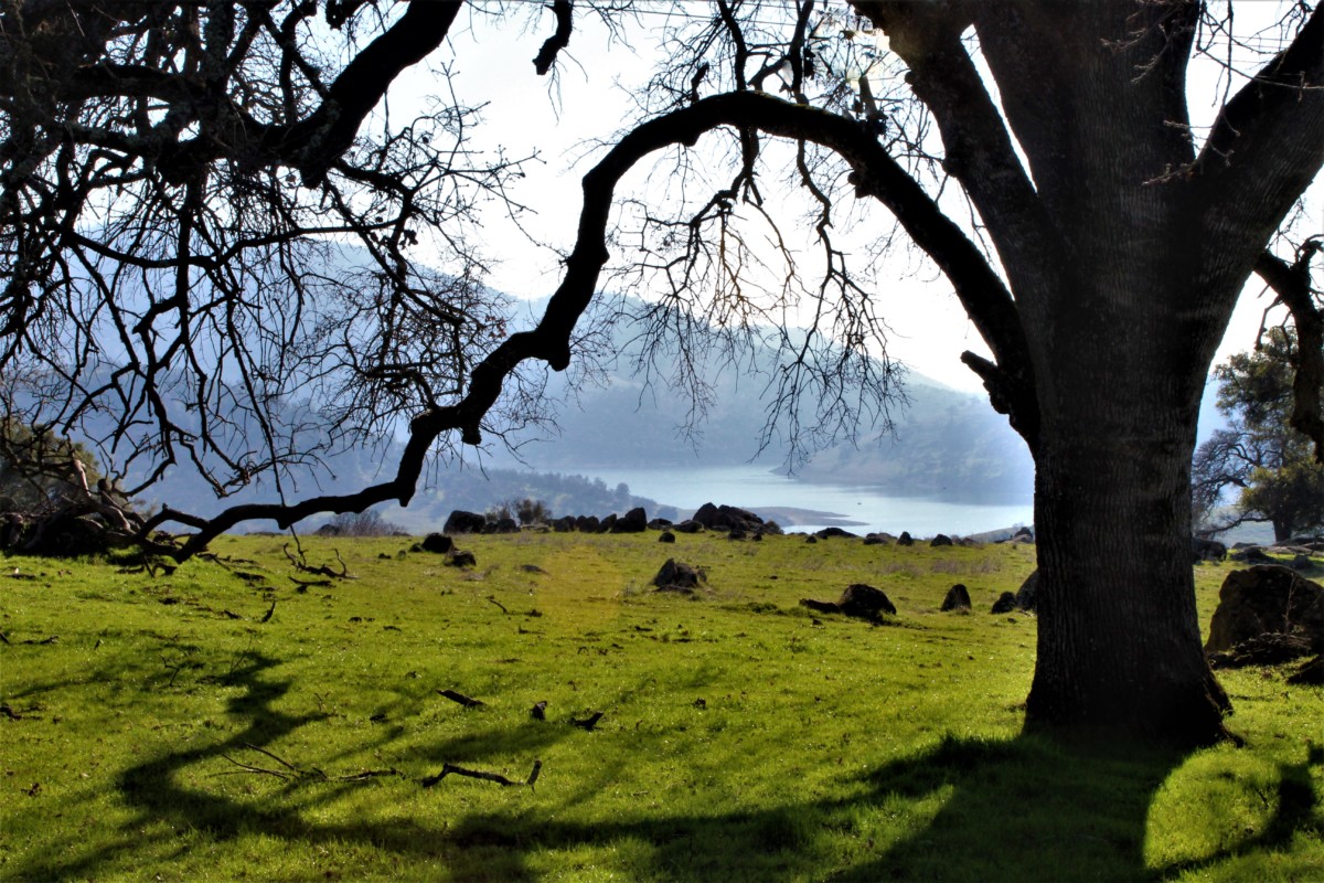 10. Embalse de Hogan