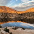 2025 Wildlife and Landscape Photo Winners Selected!