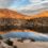2025 Wildlife and Landscape Photo Winners Selected!