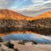 2025 Wildlife and Landscape Photo Winners Selected!