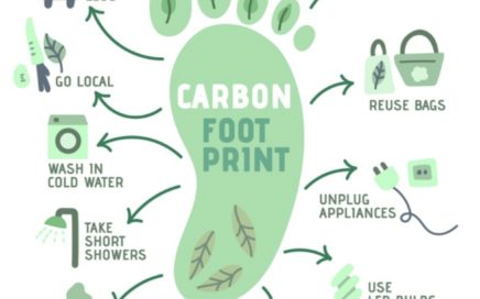 graphic for reducing carbon footprint