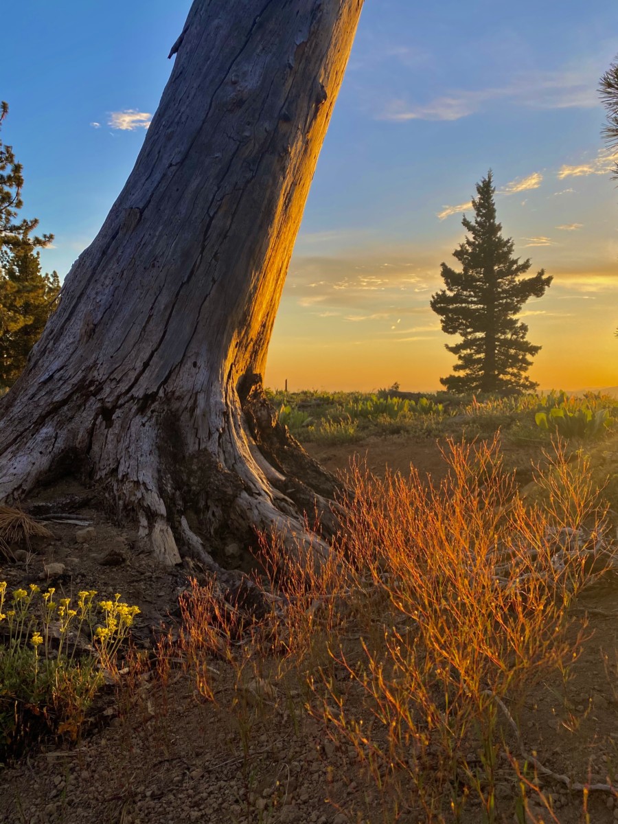 5. Herring Creek Sunset