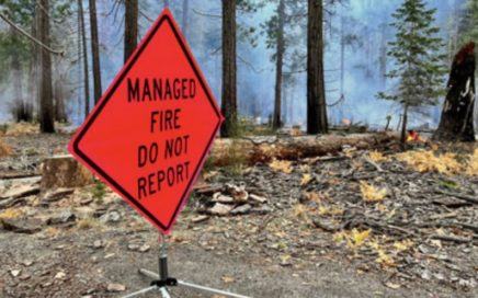 sign near prescribed burn reads managed fire do not report