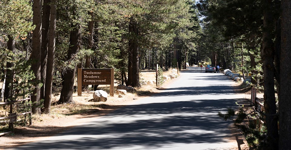 tuolumne meadows campground