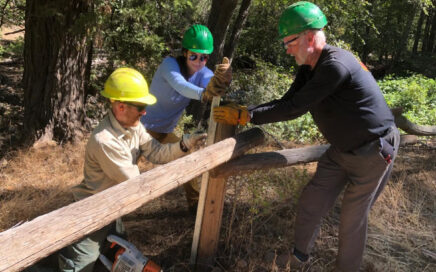 trail work