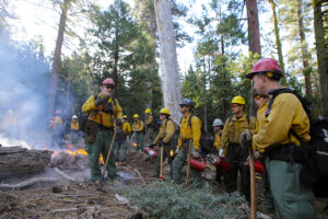 usfs wildland firefighters at a prescribed burn