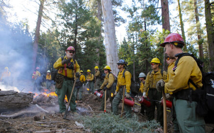 usfs wildland firefighters at a prescribed burn