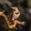 Top Photos from CSERC’s 2025 “Wild Wonders” Photo Contest