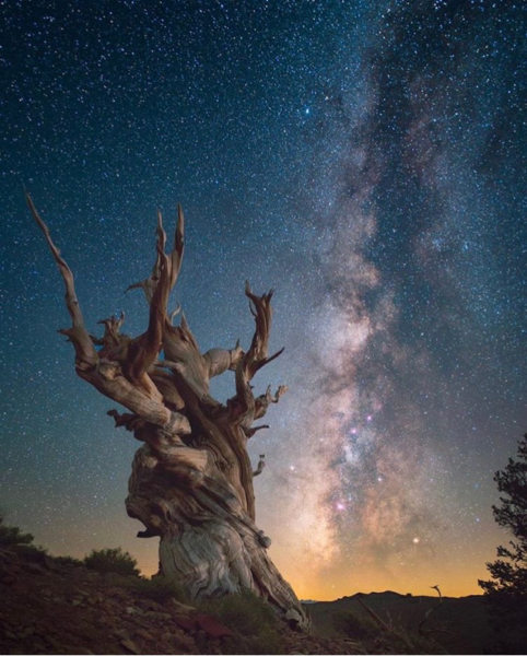Night Sky Milky Way by Erik Long