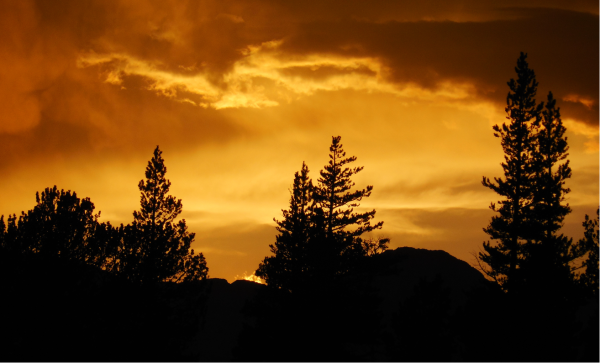 Sunset with Trees by Kyle Atkins