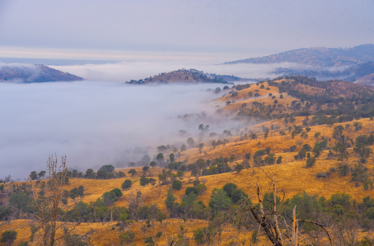 Niebla del valle de Cathey de Dan Souza