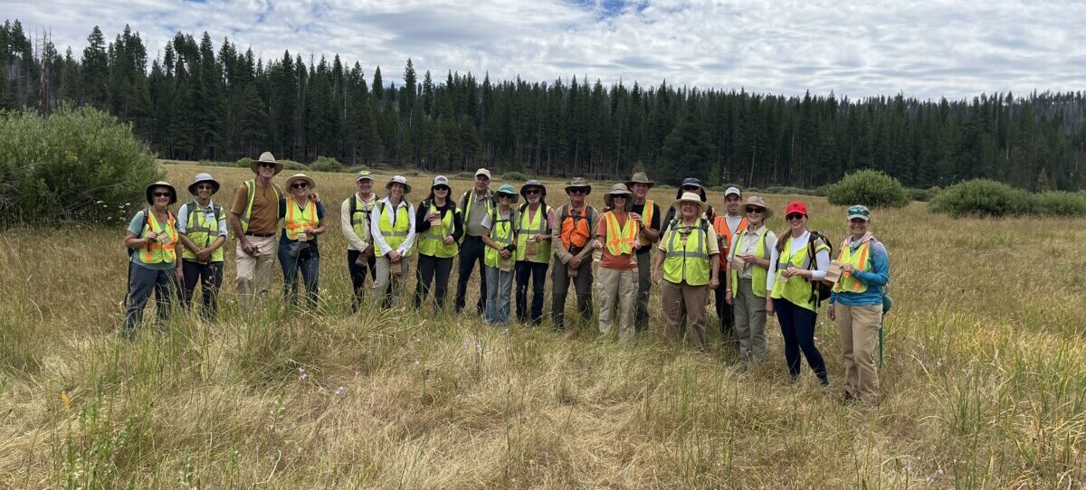 Informe de Voluntariado de CSERC de 2024