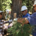 Inscríbase como voluntario de CSERC en 2025