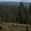 Trump administration rolls back forest protections in bid to ramp up logging