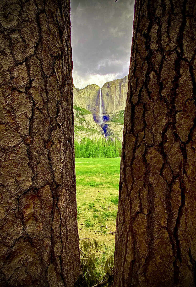 Falls Between the Trees by Joanne Sogsti