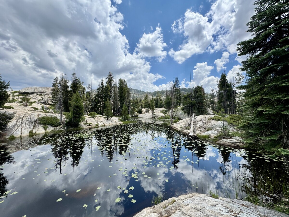 Lake Reflections by Christy Huff