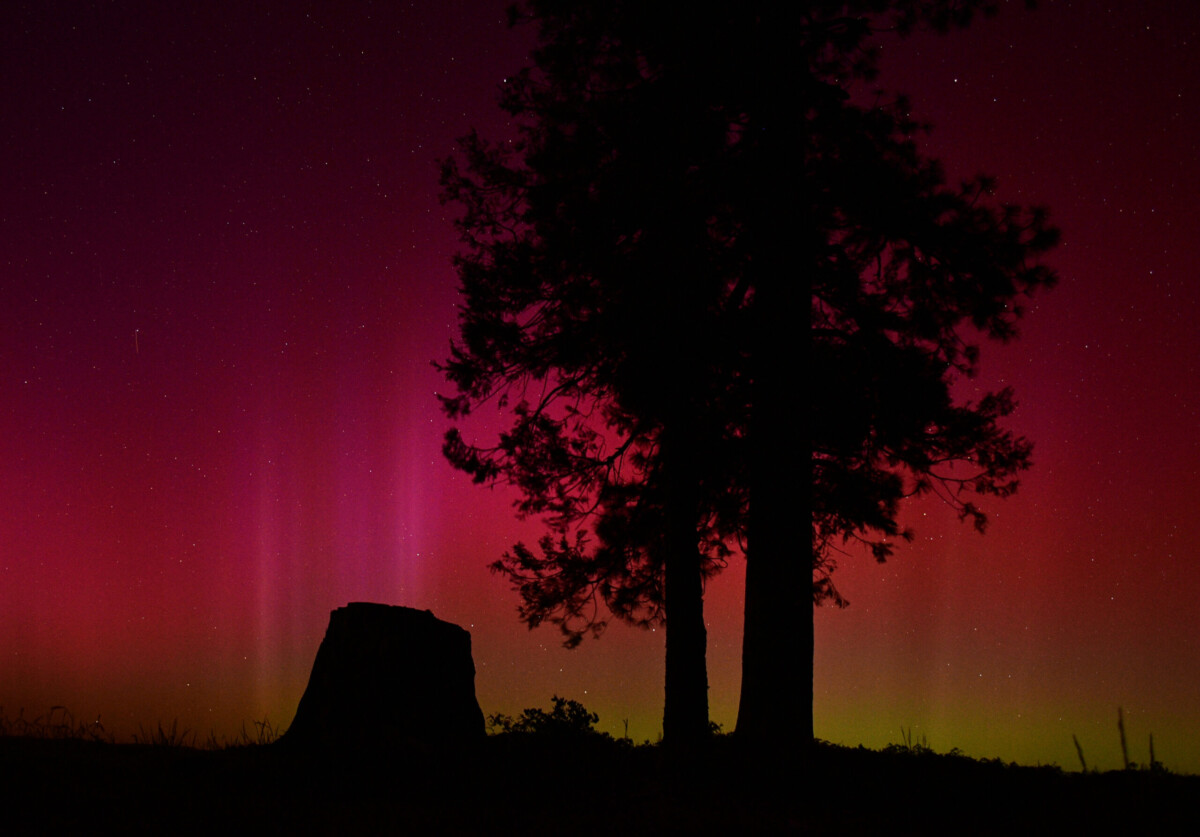 Northern Lights by Sean Adams