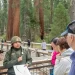 How the National Park System Is Faring Under the Trump Administration