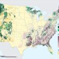 Boosting timber harvesting in national forests while cutting public oversight won’t solve America’s wildfire problem