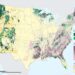 Boosting timber harvesting in national forests while cutting public oversight won’t solve America’s wildfire problem