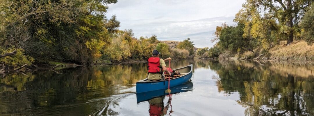 PXL_20231105_185043164 (1)