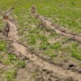 Conservation groups speak out after Trump repeals off-road vehicle regulations on public land