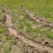 Conservation groups speak out after Trump repeals off-road vehicle regulations on public land