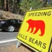 En el concurrido Parque Nacional de Yosemite, los osos comen pastel de cumpleaños y son atropellados por automóviles
