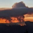 Forest fires follow roads. The Trump administration wants to build more