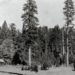 La propuesta de intercambio de tierras en Yosemite reaviva una disputa de hace décadas sobre Hazel Green