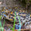 A winter mystery is changing efforts to save Yosemite toads
